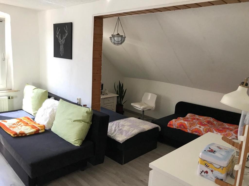 Ferienwohnung Im Einfamilienhaus, Automobil Und Robert Schumann Stadt צוויקאו מראה חיצוני תמונה