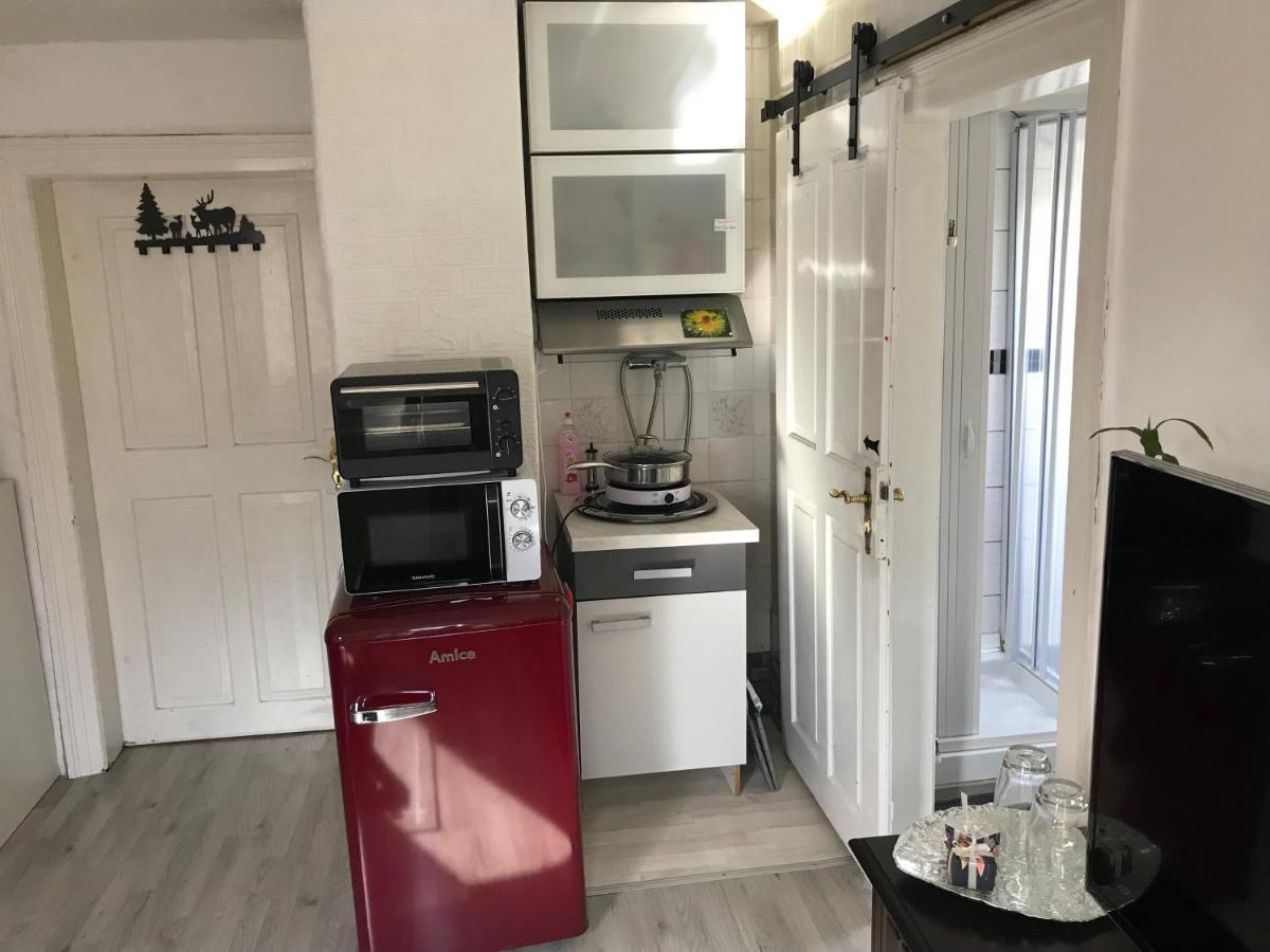Ferienwohnung Im Einfamilienhaus, Automobil Und Robert Schumann Stadt צוויקאו מראה חיצוני תמונה